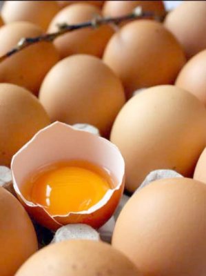 Anchetă în cazul creşterii preţului ouălor